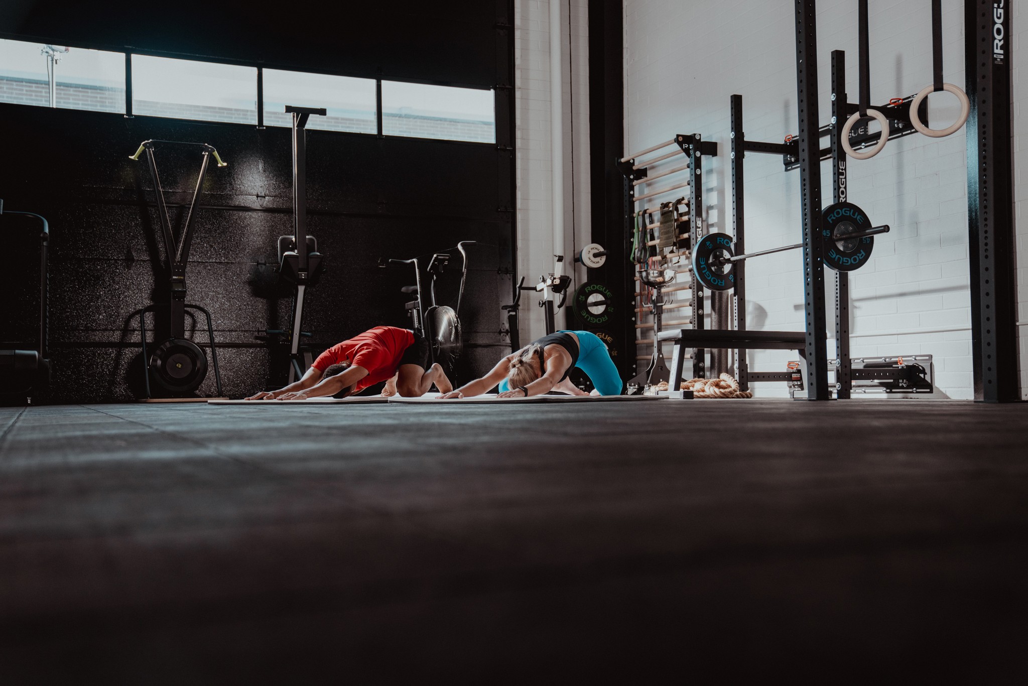 Pliability Movements pliability // #1 Mobility & Recovery App